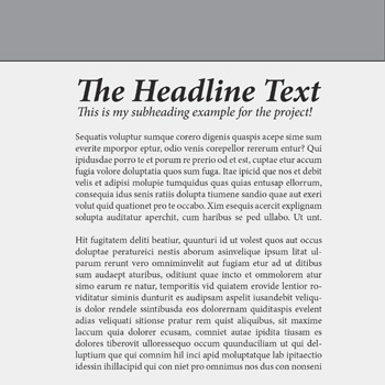Adobe Illustrator Layout