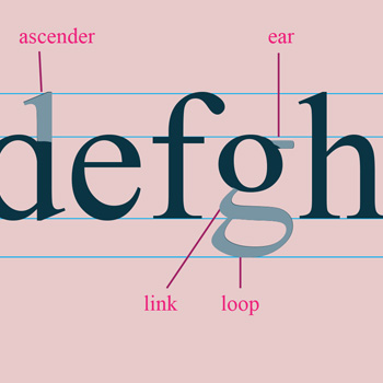 Typography